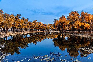 策略模拟游戏《成为统治者：大不列颠》免费序章已在Steam平台推出